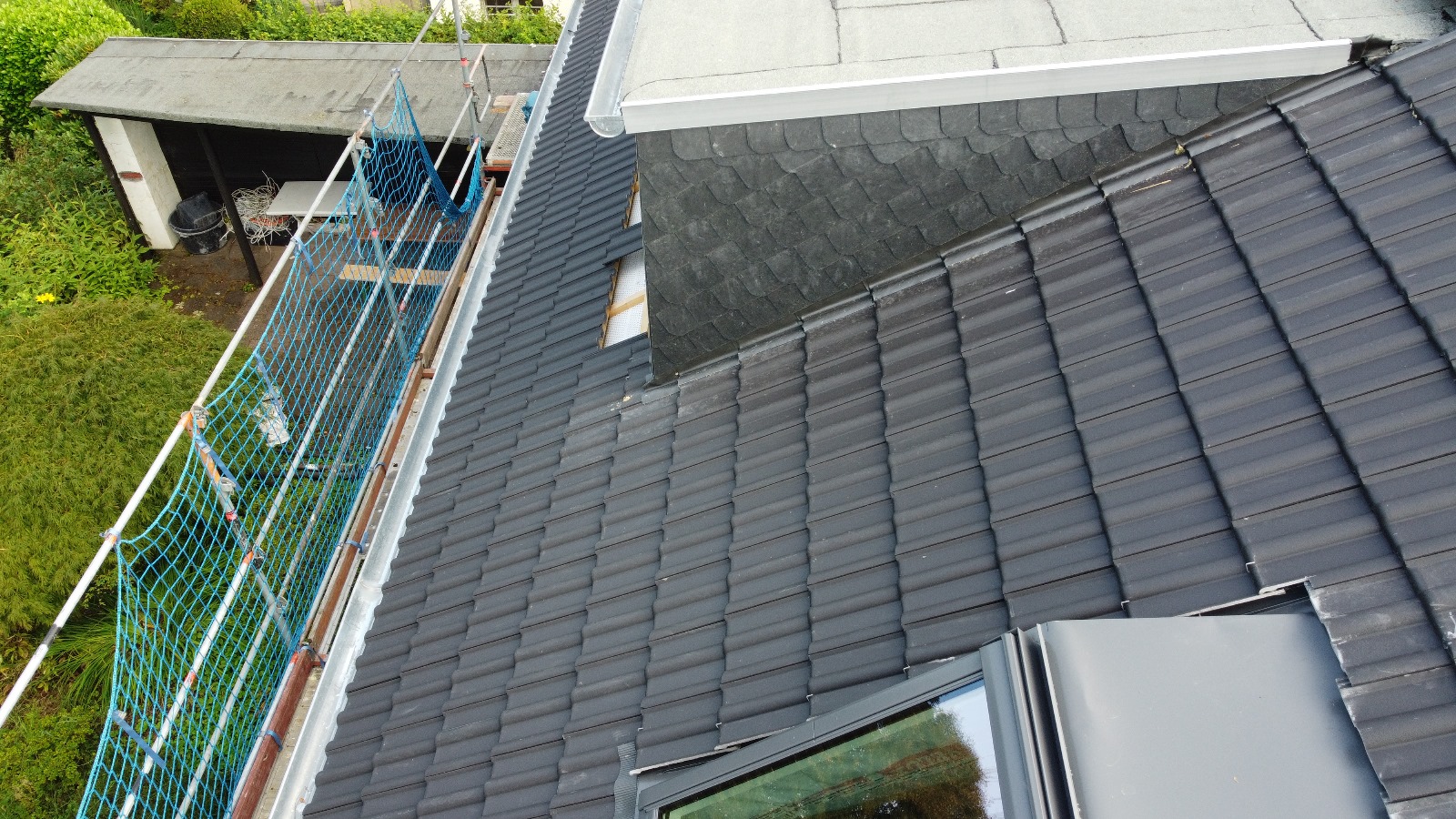 Detail: Wangenabsicht neue Gaube
